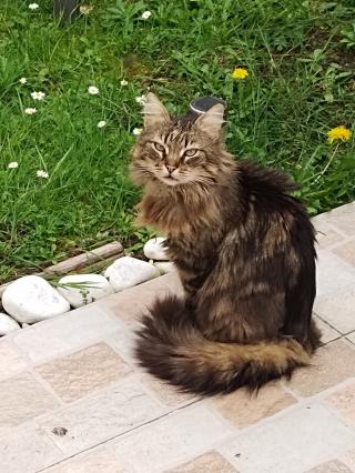 Vétérinaire Clinique Vétérinaire Univet Freneuse 1