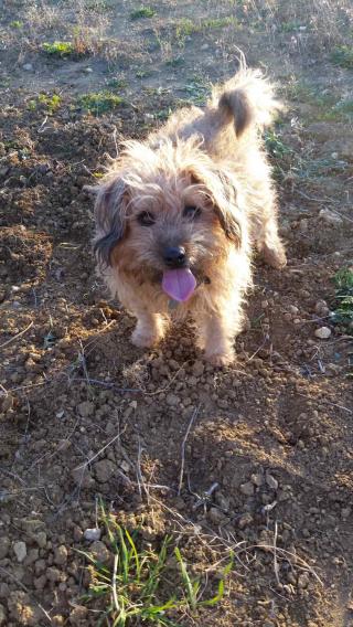 Vétérinaire Bethune Christophe 0
