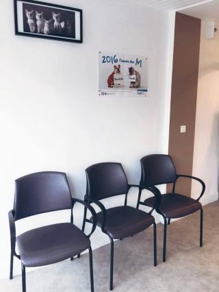 Vétérinaire Cabinet Vétérinaire Sainte Anne 0