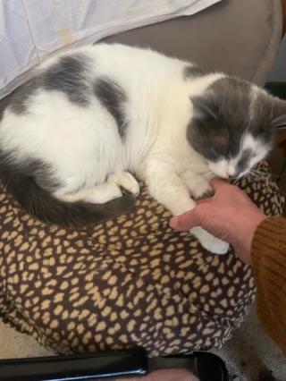 Vétérinaire Minaud Benoît 0