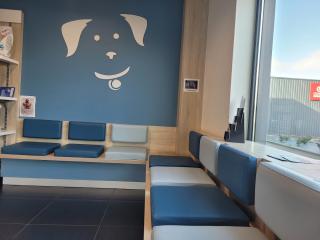 Vétérinaire Caron Olivier 2