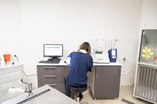 Vétérinaire Clinique Vétérinaire de la Boulais 2