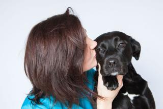 Vétérinaire Clinique vétérinaire de la rivière 0