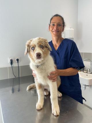 Vétérinaire Pethomeo - Dr Ingrun de Thoisy 1