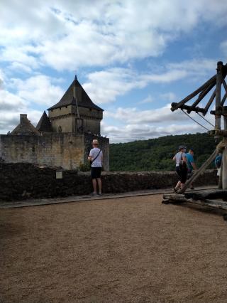 Vétérinaire SCP CLAISE NGUYEN HORGUE-ALBERT 1