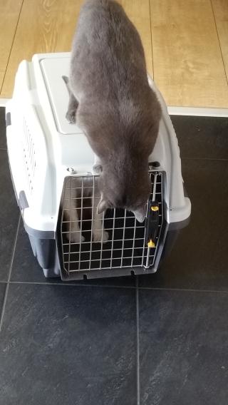 Vétérinaire Clinique Vétérinaire des Danjons 0