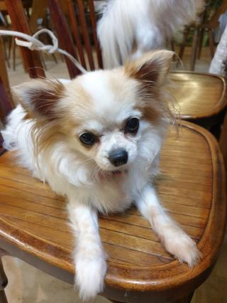 Vétérinaire Cabinet Vétérinaire Univet Vermenton des 3 Vallées 0