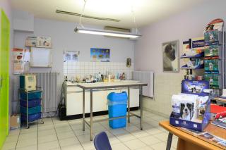 Vétérinaire Clinique vétérinaire de Paray vieille poste (Consultations uniquement sur rendez-vous) 1