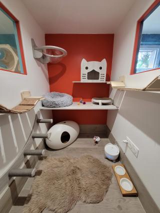 Vétérinaire Famylia - Pension féline 1