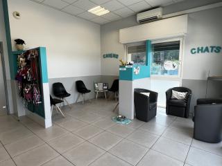 Vétérinaire Groupe Vétérinaire de l'Argens 2