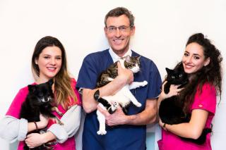 Vétérinaire Clinique Vétérinaire Antibes Les Pins 0