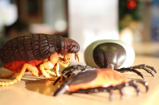 Vétérinaire Clinique vétérinaire Vetarmor - Pontrieux 2