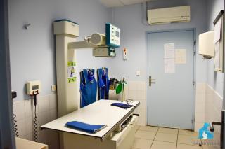 Vétérinaire Clinique Vétérinaire du Grand Verger 2