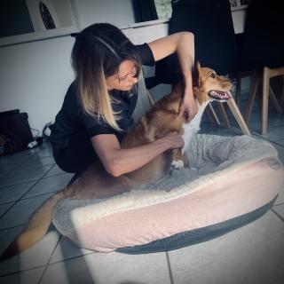 Vétérinaire Dr Burdin Celia 0