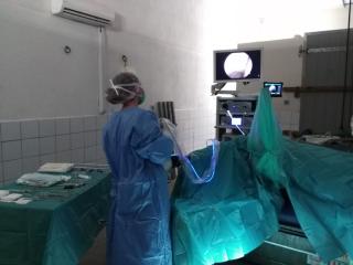 Vétérinaire Clinique équine de Provence / Haras de la Trévaresse 2