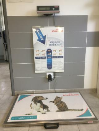 Vétérinaire M Moles Cedric 0