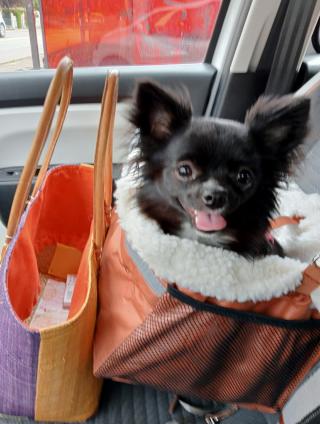 Vétérinaire Clinique vétérinaire du Val de Rhins 1