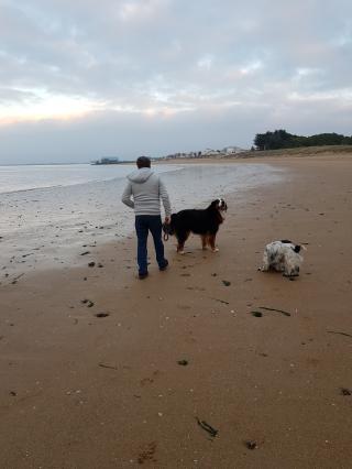 Vétérinaire Clinique Vétérinaire L. De Vinci 0