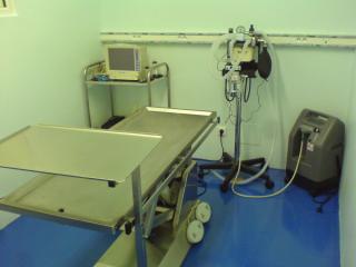 Vétérinaire CLINIQUE VETERINAIRE du Dr MAGNE 0