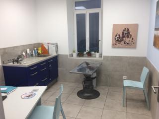 Vétérinaire Clinique Vétérinaire du Las 0