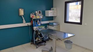 Vétérinaire Clinique Vétérinaire Vet'Estey de Claouey 2